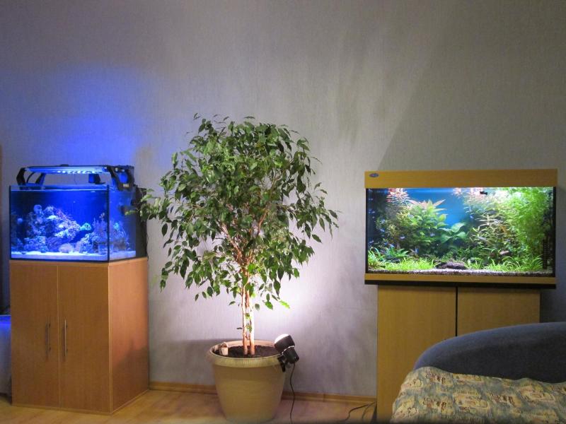 Хочу аквариум. А оно мне надо?